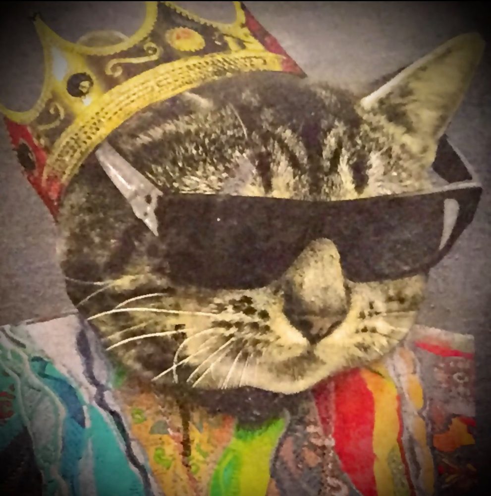 Meet your Posher, Bill